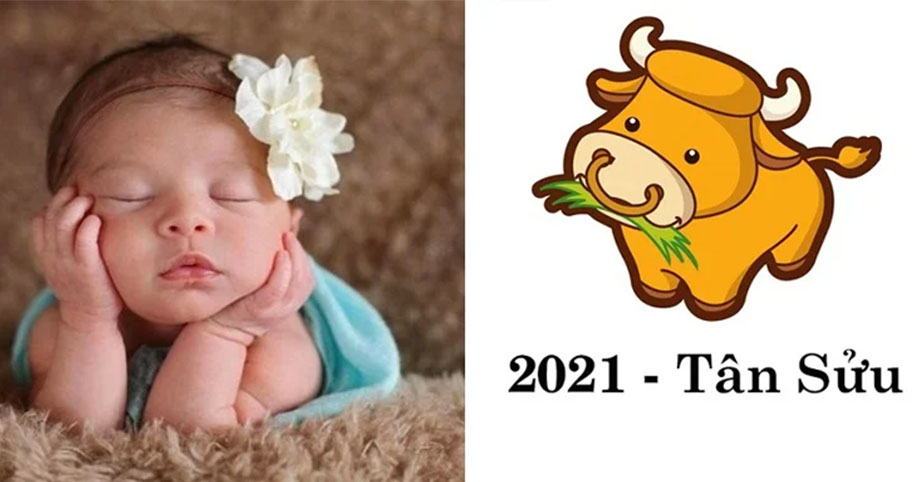 Năm Tân Sửu 2021 có phải trâu vàng không? Sinh con tháng nào mang lại tài lộc?