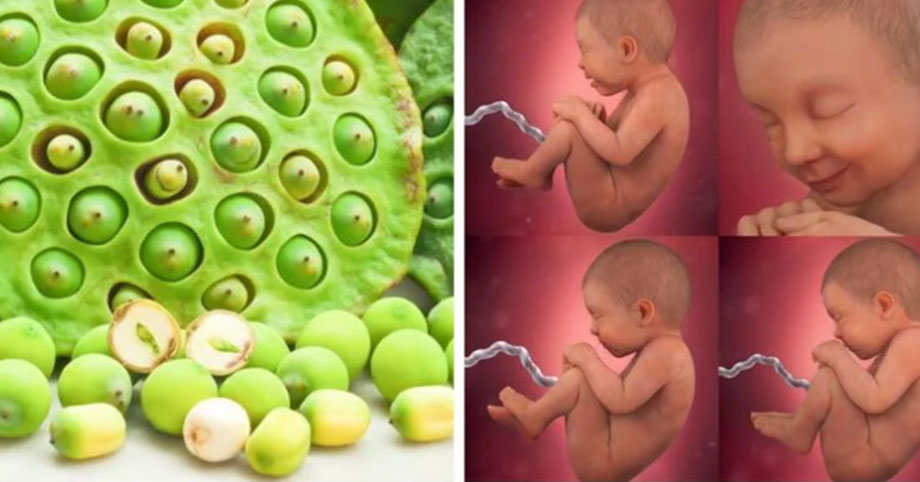 Để bé thông minh, mẹ bầu không nên bỏ qua những loại hạt này trong 3 tháng đầu thai kỳ