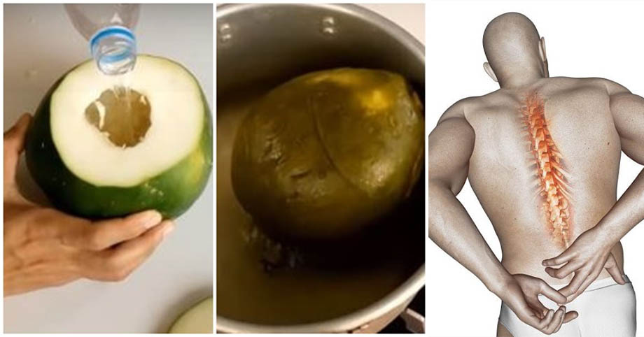 Khoét quả đu đủ, đổ rượu vào luộc chín – Cách chữa đau lưng siêu hiệu quả