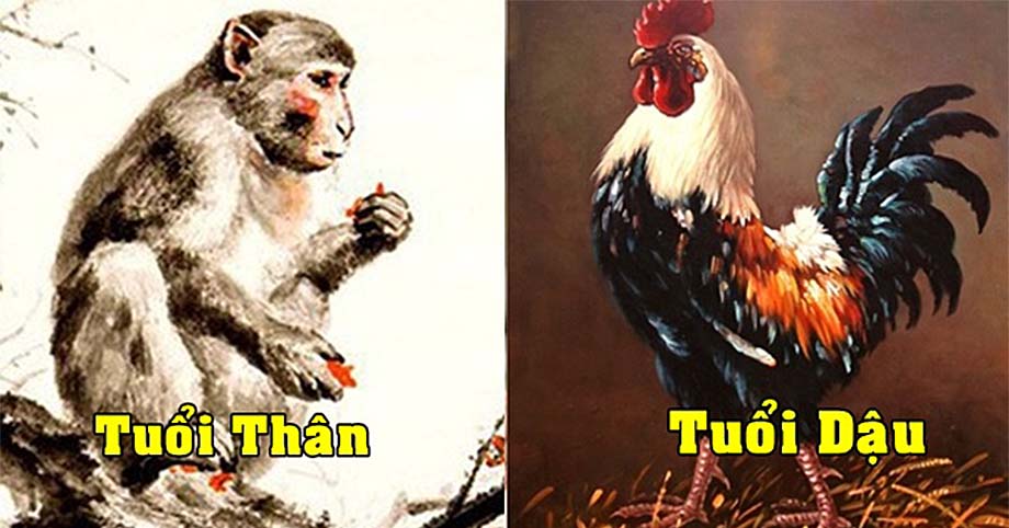 Cuối tuần này: 3 con giáp “Tài khoản liên tục nảy số” tiền bạc rủng rỉnh, tình duyên đào hoa ít ai sánh bằng