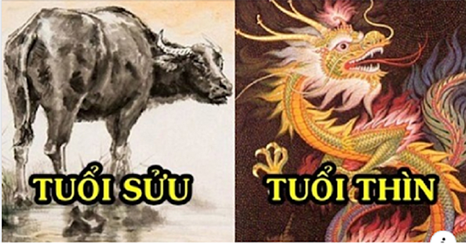 Vận may 12 con giáp nửa cuối tháng 11: Ai cũng gặp chút khó khăn, vài người khác thăng hoa cả tình lẫn tiền vào cuối năm