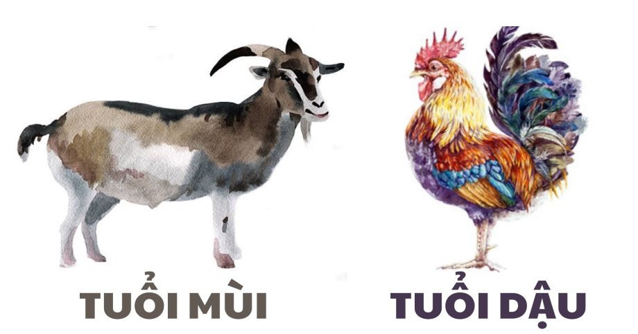 Những con giáp này bớt so sánh mình với người khác cuộc đời nhất định sẽ thành công, hạnh phúc