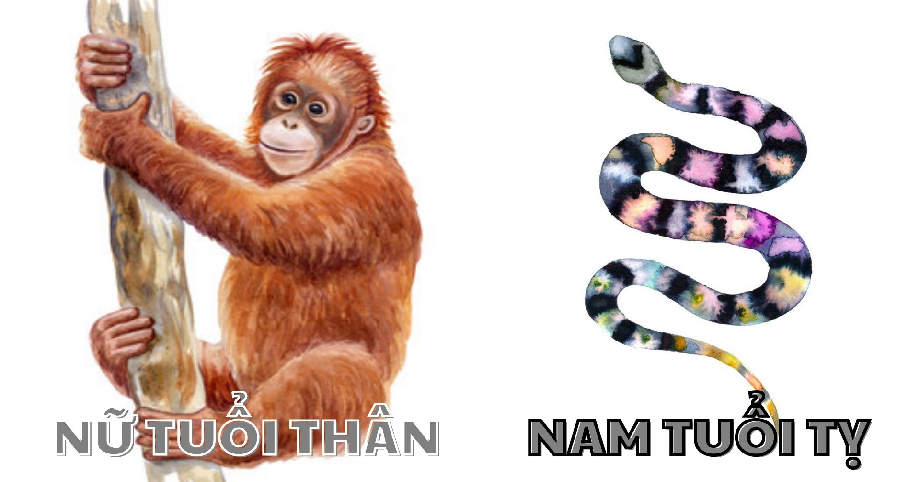 Độc thân càng lâu, sự nghiệp của những con giáp này càng thăng hoa bất ngờ, đúng là gừng càng già càng cay!