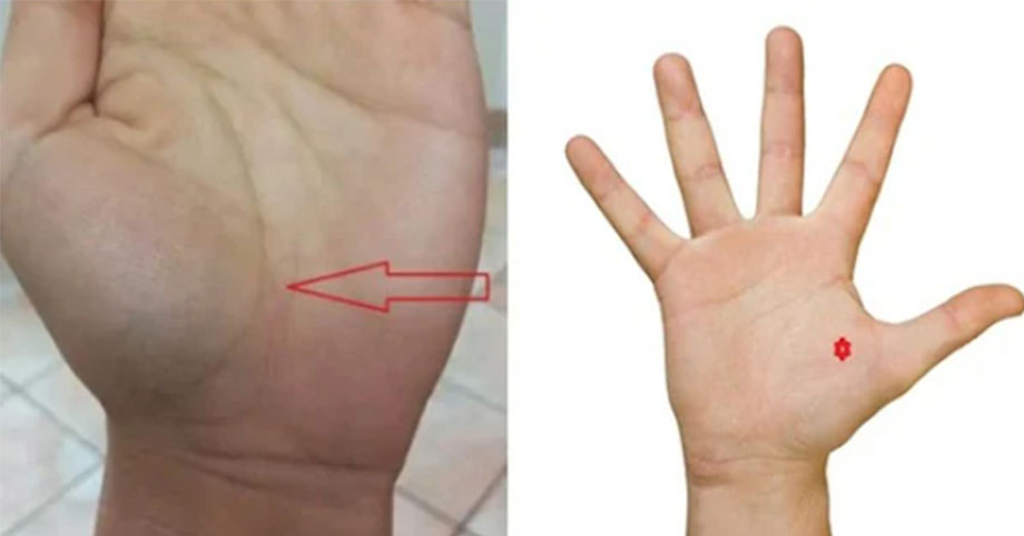 4 đặc điểm chỉ xuất hiện ở bàn tay của người thành công, 1 điểm ai có thì nghèo hèn lụi bại