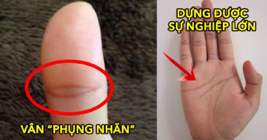 3 đường chỉ tay báo hiệu “tướng làm quan”: Có 1/3 đường là phú quý nhập nhà, hậu vận viên mãn