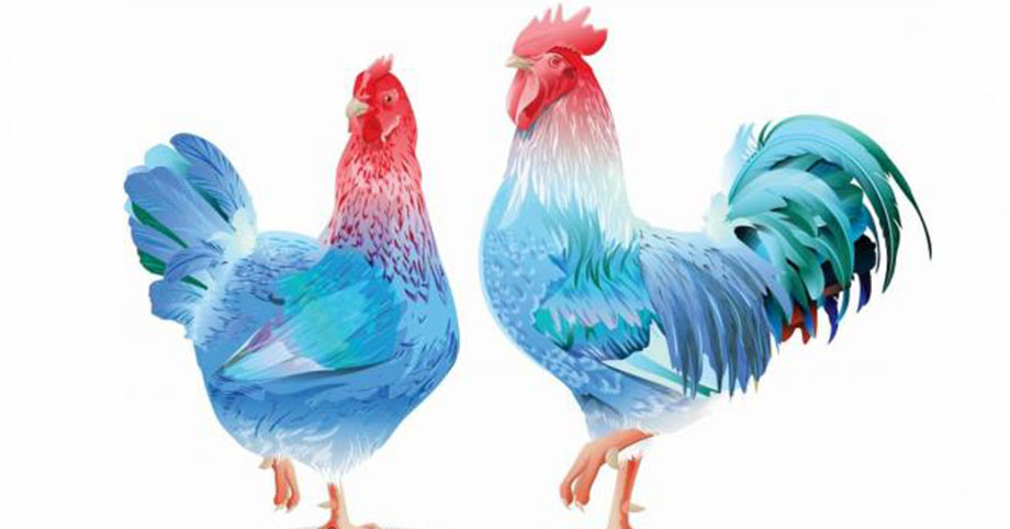 Năm Nhâm Dần 2022, nam nhân lấy vợ thuộc những con giáp sau đây sự nghiệp sẽ lên như diều gặp gió, gia đình hạnh phúc, đủ đầy