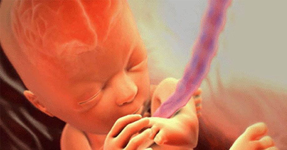 Buổi sáng thức giấc, 5 điều mẹ bầu làm dẫn dinh dưỡng nuôi thai hồng hào, mau lớn