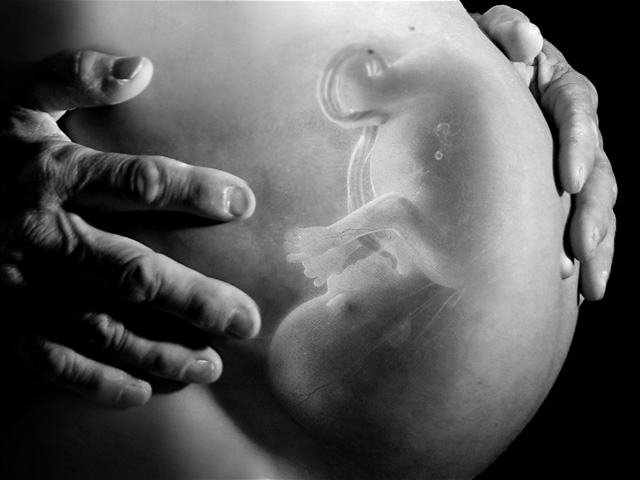 4 nỗi sợ của thai nhi khiến con chậm phát triển, còi cọc khi còn trong bụng mẹ