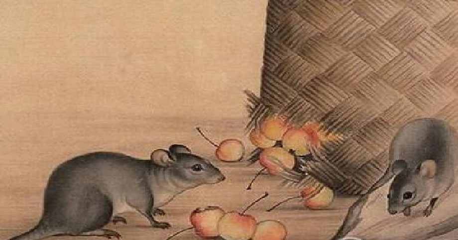 Sổ Nam Tào định sẵn: 4 tuổi dính hạn Thái Tuế dễ trắng tay, 1 tuổi thoát tam tai giàu khủng