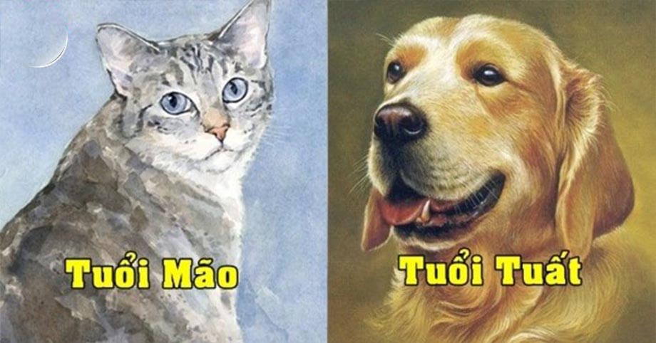 Thần Tài chỉ đích danh: 4 con giáp rũ bùn đứng dậy, tiền bạc ùn ùn kéo về trong 6 tháng cuối năm 2022