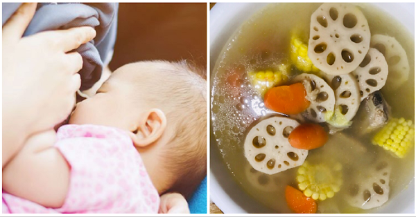 Top 5 thực phẩm làm mát sữa mẹ, cung cấp dinh dưỡng dồi dào cho con