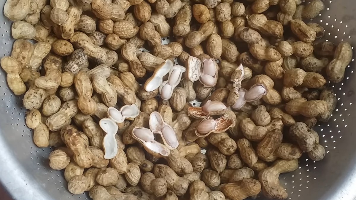 Lành như lạc luộc cũng có thể hóa ‘𝐭𝐡𝐮ố𝐜 độ𝐜’ với những người sau