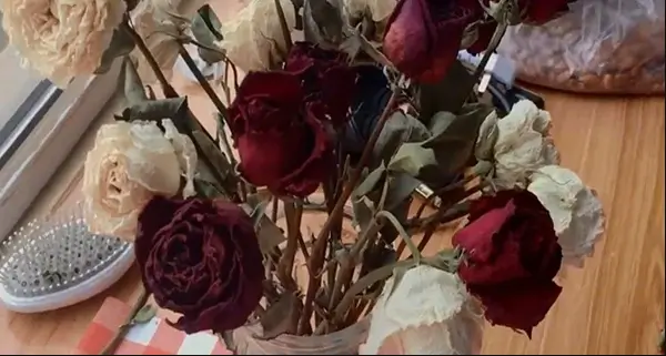 Gia đình 𝐯ậ𝐧 𝐱𝐮𝐢 đeo đẳng, 𝐧𝐠𝐡è𝐨 rớt mồng tơi vì lưu 3 thứ trong nhà, đừng tiếc của giữ lại mà thiệt