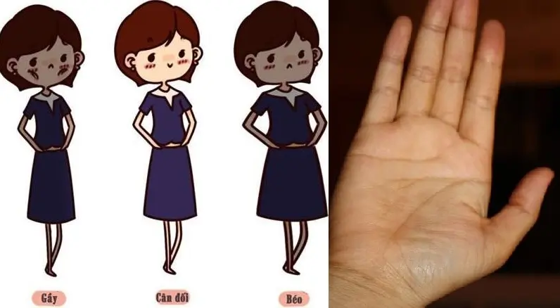Đừng đỏ mặt: phụ nữ có chức năng sinh sản mạnh có 3 điểm chung, nếu cô ấy có được tất cả thì xin chúc mừng!