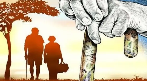 Cây dại mọc ngoài đường lên chậu có giá tiền triệu: Chủ bội thu mùa Tết
